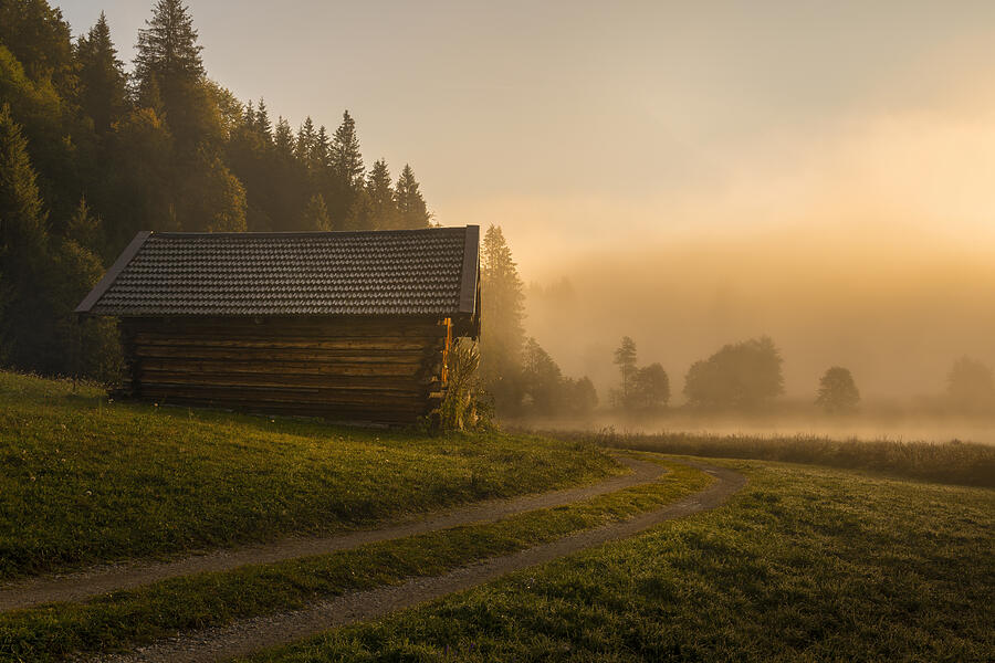 Early Morning Photograph by Norbert Maier