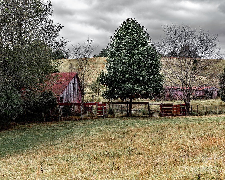 Early Morning on the Farm, one Photograph by Ken Frischkorn