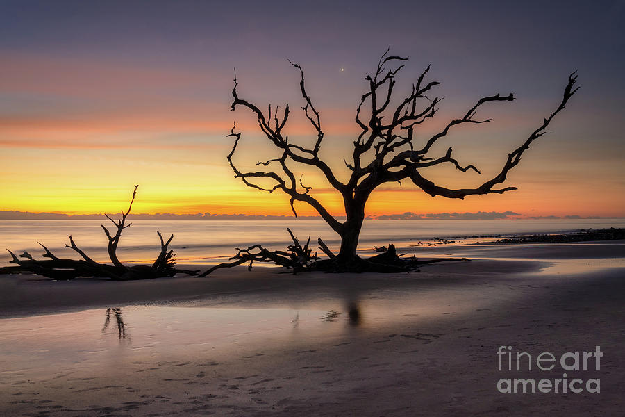 Early morning reflections at Driftwood Beach Photograph by Izet Kapetanovic