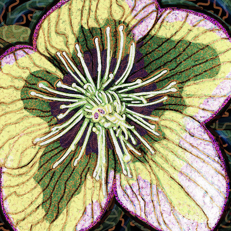 Early Spring Flower Digital Art by Rod Whyte