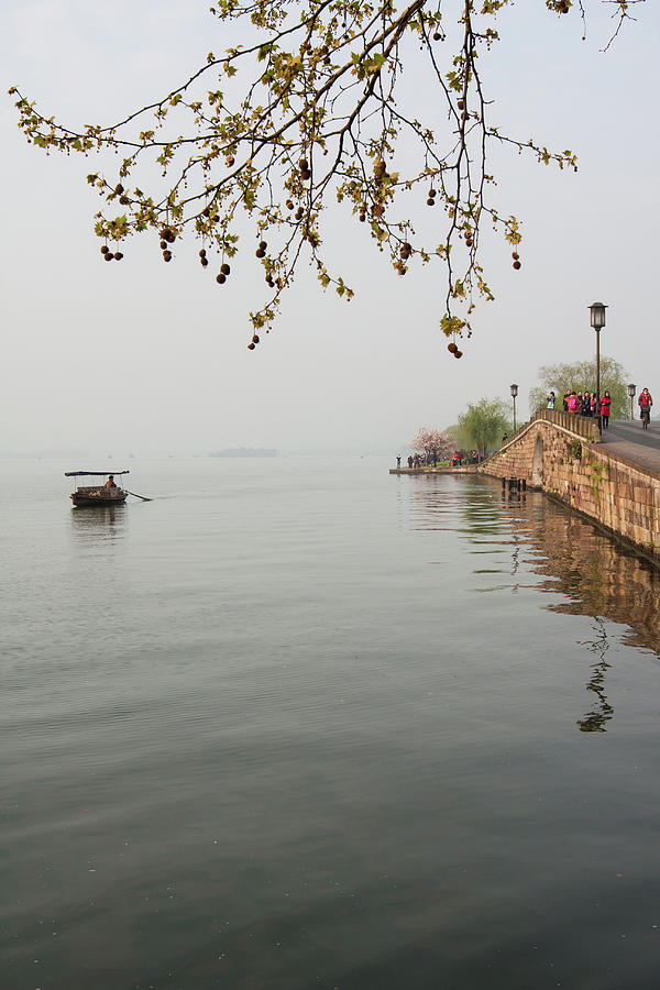 Early Spring In Hangzhou Photograph by Lacily Wu Presents