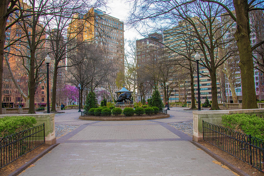 Early Spring Morning - Rittenhouse Square - Philadelphia Photograph by Bill Cannon