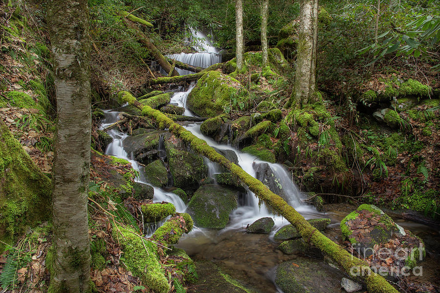 Early Spring Waterfall Photograph by Mike Eingle