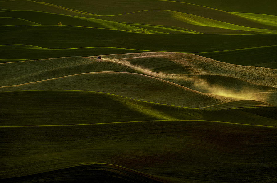 Spring Photograph - Early Spring Wheat Field by Lydia Jacobs