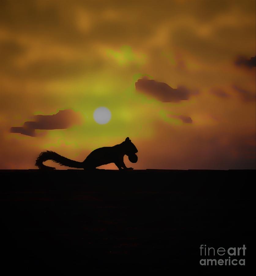 Early Squirrel Gets the Nut by Paul Wilford Early Squirrel Gets the Nut by Paul Wilford
