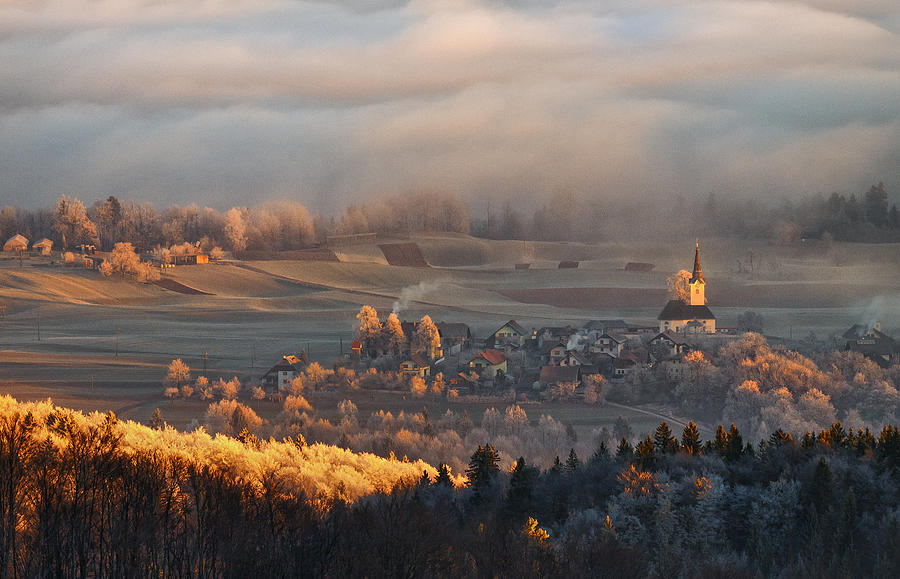 Winter Photograph - Early Winter Morning by Ales Komovec