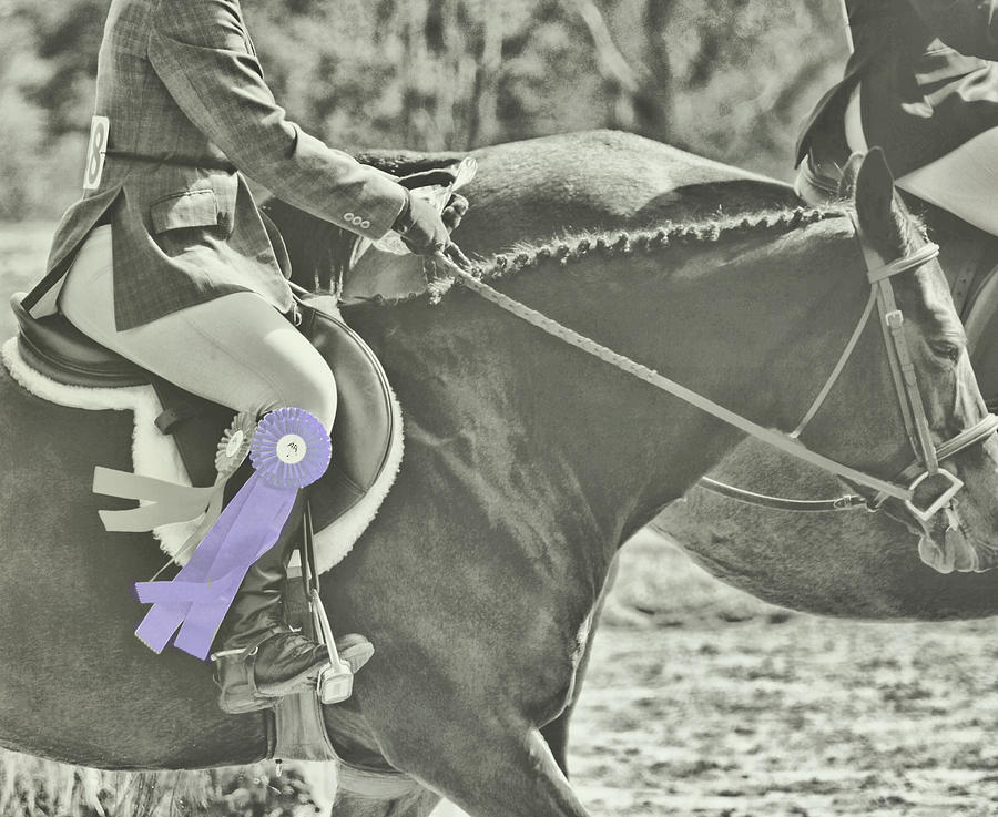 Earning Ribbons   Photograph by Dressage Design