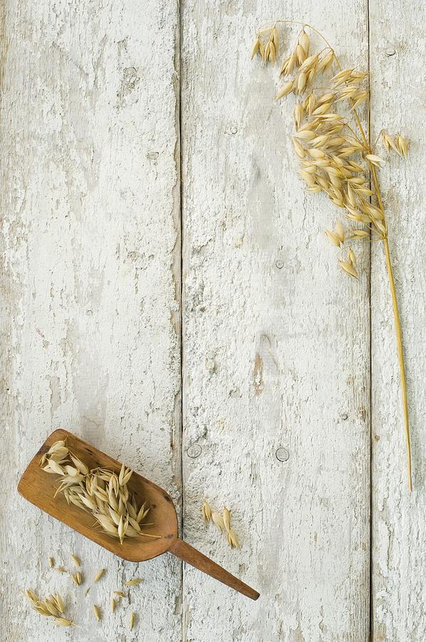 Ears Of Wheat On A Wooden Scoop And On A Wooden Surface seen From Above Photograph by Achim Sass