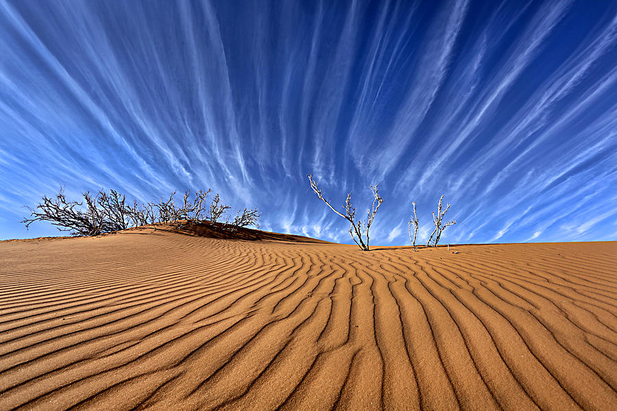 Earth And Sky Lines Photograph by Abdullah Alnassar