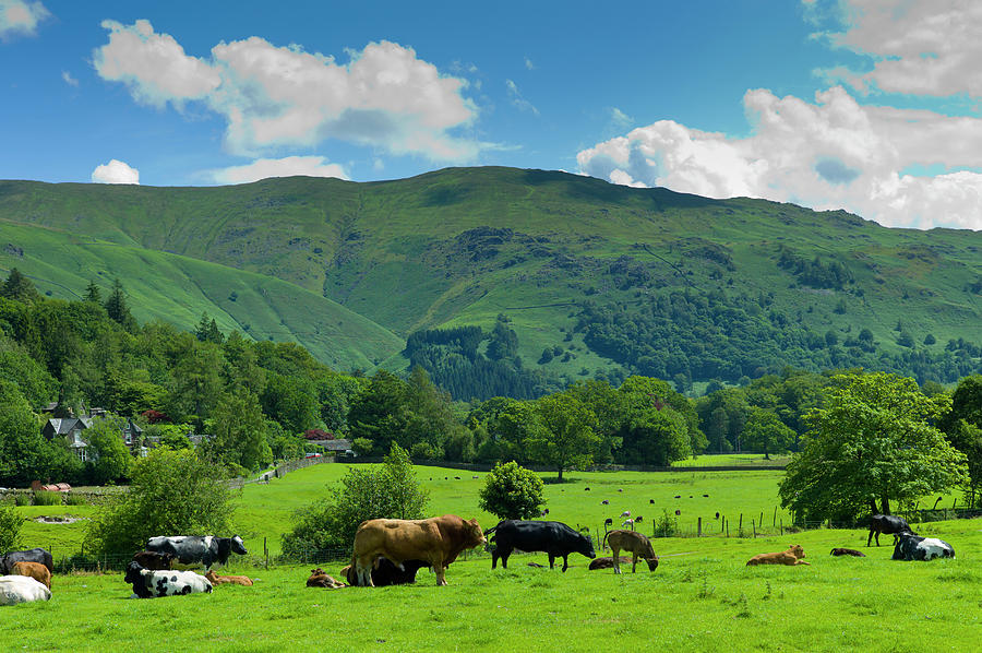 Easedale, The Lake District, Uk Photograph by Tim Graham