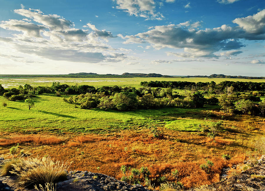 East Aligator River Flood Plains From Photograph by Australian Scenics