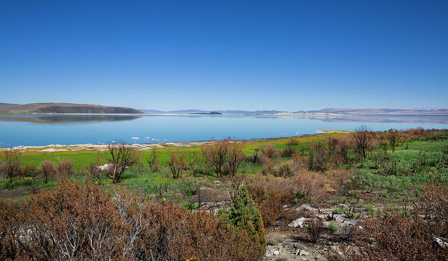 East Bank Of Mono Lake In Summer, California, Usa Photograph by Bastian Linder