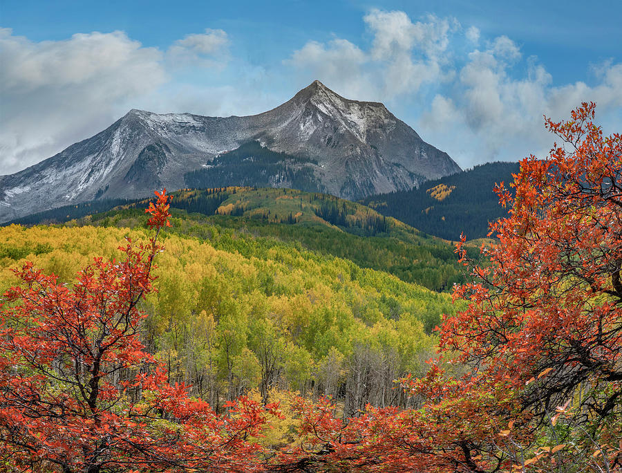 East Beckwith Mountian In Fall Photograph by Tim Fitzharris