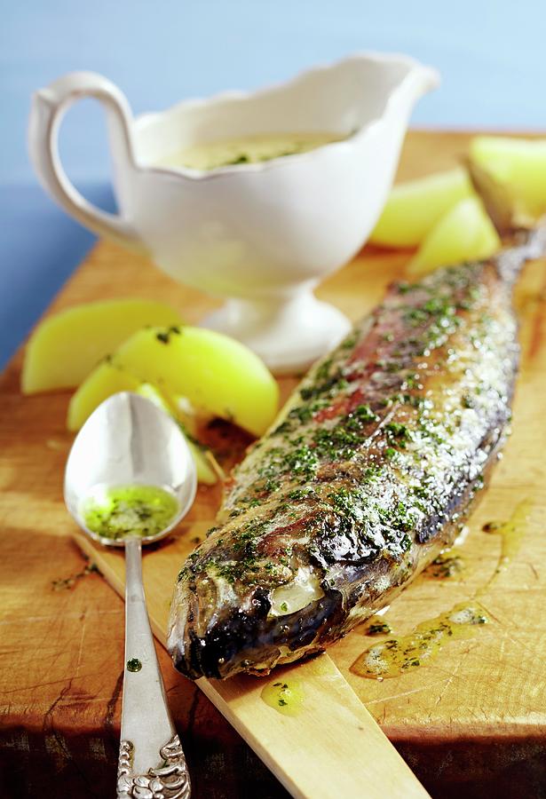 East Friesian Mackerel With A White Wine Sauce germany Photograph by Teubner Foodfoto