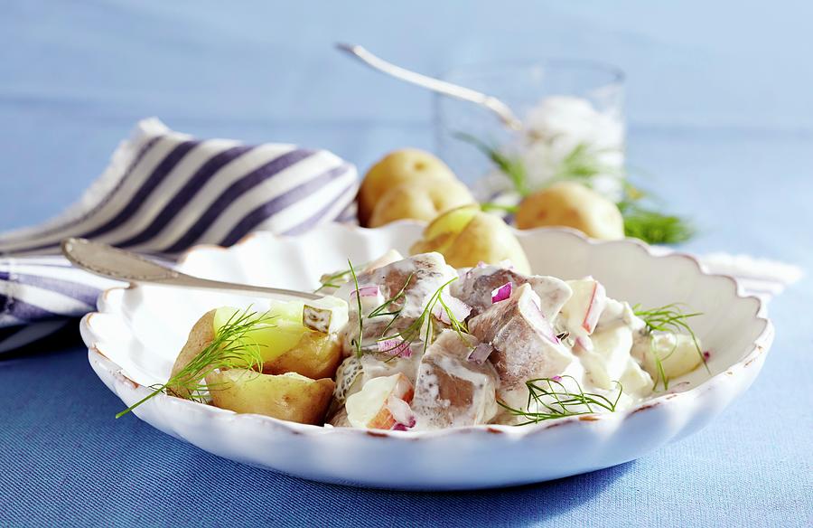 East-frisian Soused Herring Salad With Potatoes Photograph by Teubner Foodfoto