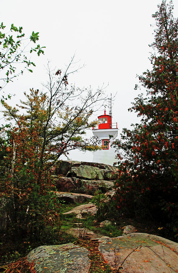 Tree Photograph - East Lighthouse Killarney II by Debbie Oppermann
