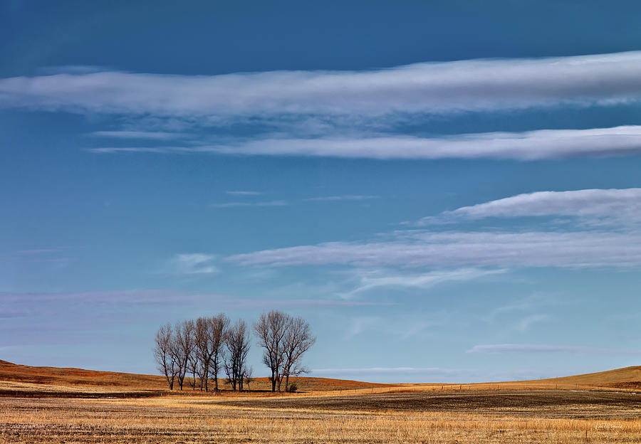 Nature Photograph - East Montana by Leland D Howard