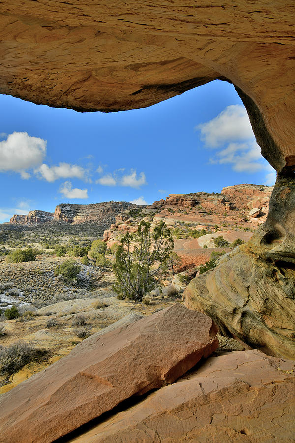 East Side Colorado National Monument from Cove Photograph by Ray Mathis