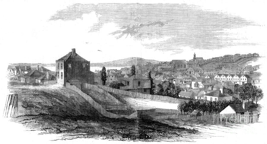 East View Of Auckland, New Zealand Drawing by Print Collector