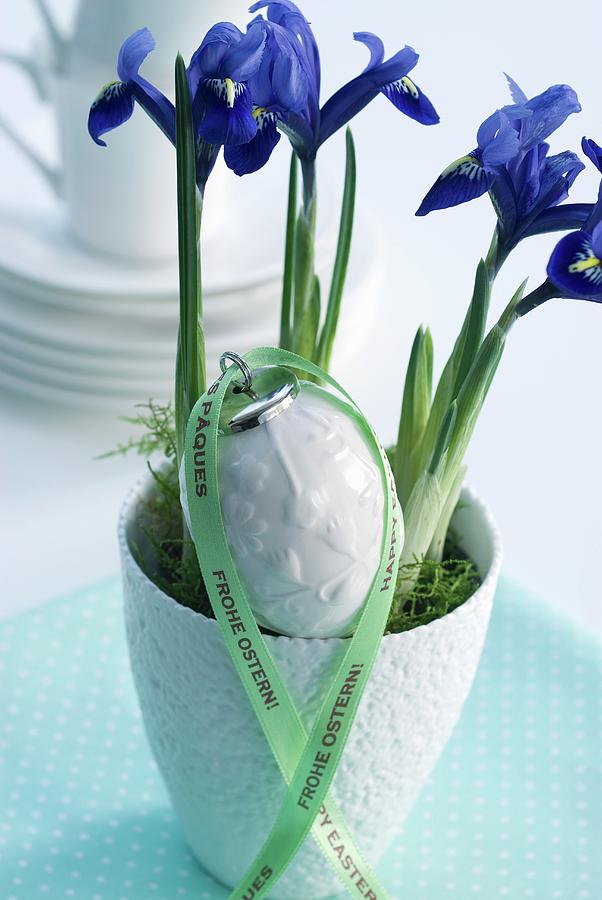Easter Arrangement Of Iris And Porcelain Egg Photograph by Matteo Manduzio