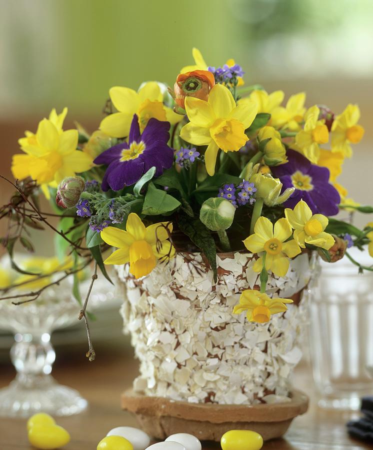 Easter Arrangement Of Narcissi, Primulas & Forget-me-nots Photograph by Friedrich Strauss