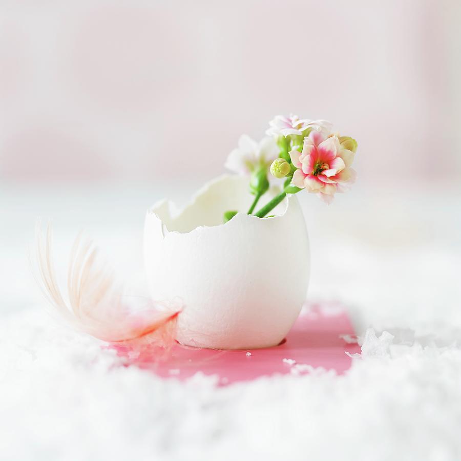 Easter Arrangement Of Spring Flowers In Egg Shell Photograph by Aina C. Hole