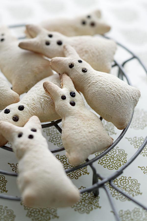 Easter Bunny Biscuits On Cooling Rack Photograph by Bjarni B. Jacobsen ...