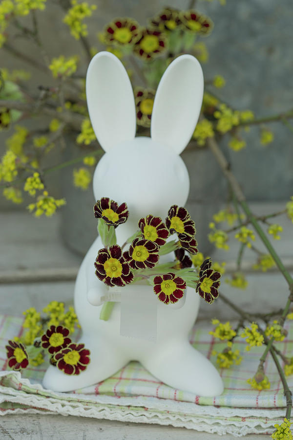 Easter Bunny With Gold Laced Primulas Photograph by Martina Schindler