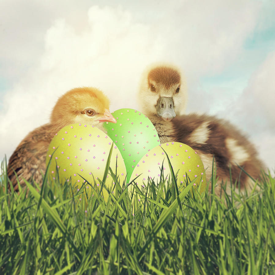 Easter Chick And Duckling With Easter Eggs On A Bed Of Grass Photograph by Ethiriel Photography