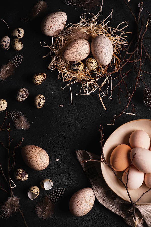 Easter Composition With Eggs Photograph by Karolina Polkowska