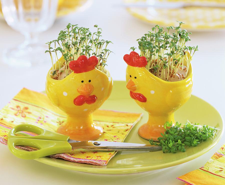 Easter Decoration: Cress In Amusing Eggcups Photograph by Strauss, Friedrich