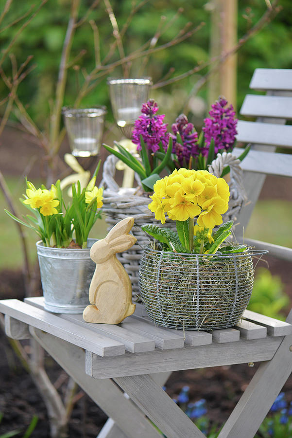 Easter Decoration With Daffodils, Hyacinths, Primroses On A Garden Chair, Wooden Easter Bunny Photograph by Daniela Behr