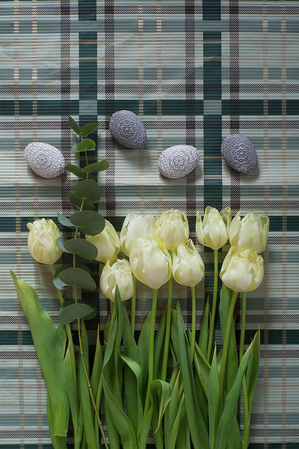 Easter Eggs And White Tulips On Tartan Surface Photograph by Alicja Koll