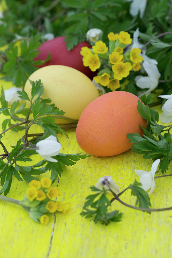 Easter Eggs, Cowslips And Wood Anemones Photograph by Martina Schindler