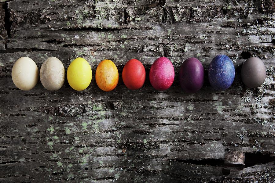 Easter Eggs Dyed Using Various Materials On Piece Of Cherry Bark Photograph by Sabine Lscher