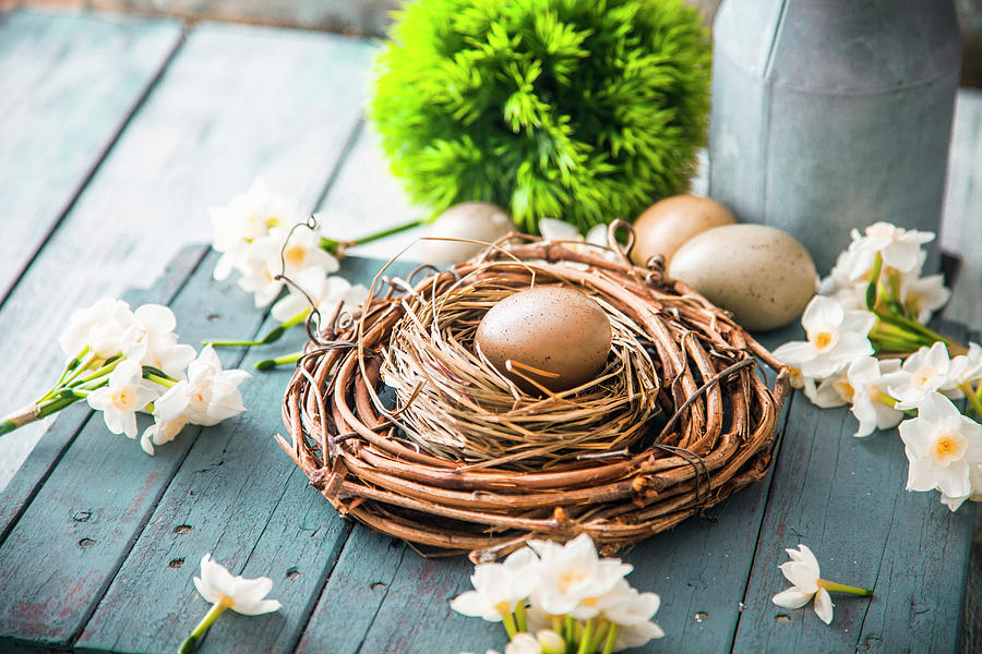 Easter Eggs On Wood Photograph by Mythja