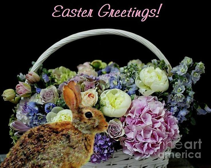 Easter Greeting Photograph by Janette Boyd