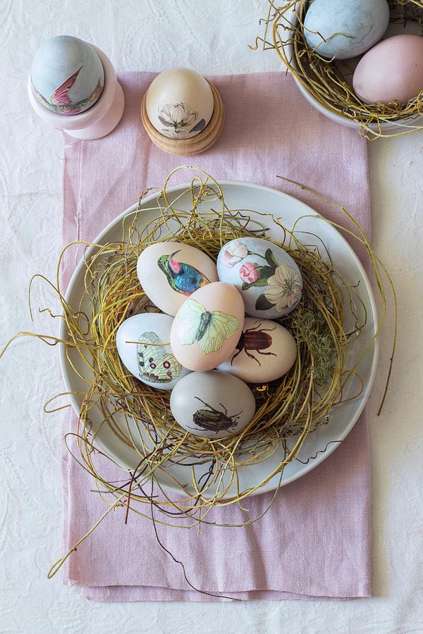 Easter Nest Of Eggs Decorated With Animal Motifs Photograph by Great Stock!
