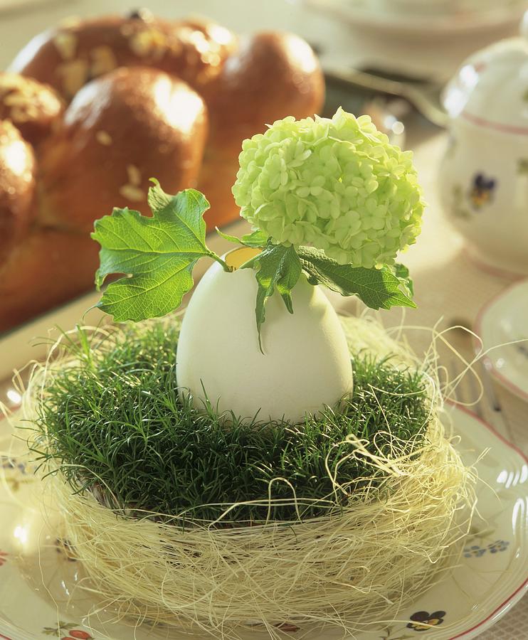 Easter Nest With Duck Egg And Viburnum; Bread Plait Photograph by Friedrich Strauss