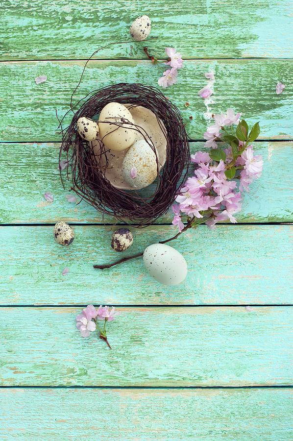 Easter Nest With Easter Eggs, Quails Eggs And Sprig Of Cherry Blossom On Wooden Surface Photograph by Achim Sass