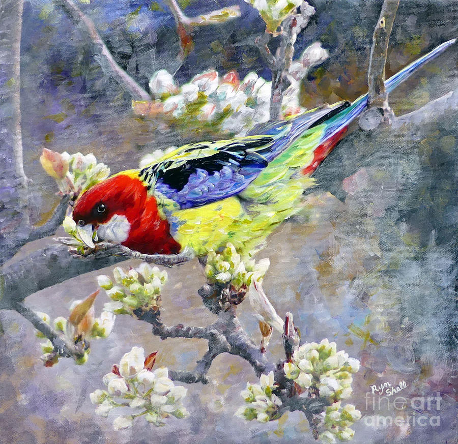 Easter Rosella in Nashi Pear Painting by Ryn Shell