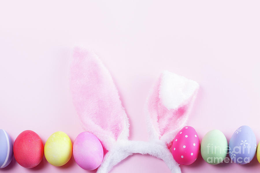 Easter Ears Photograph