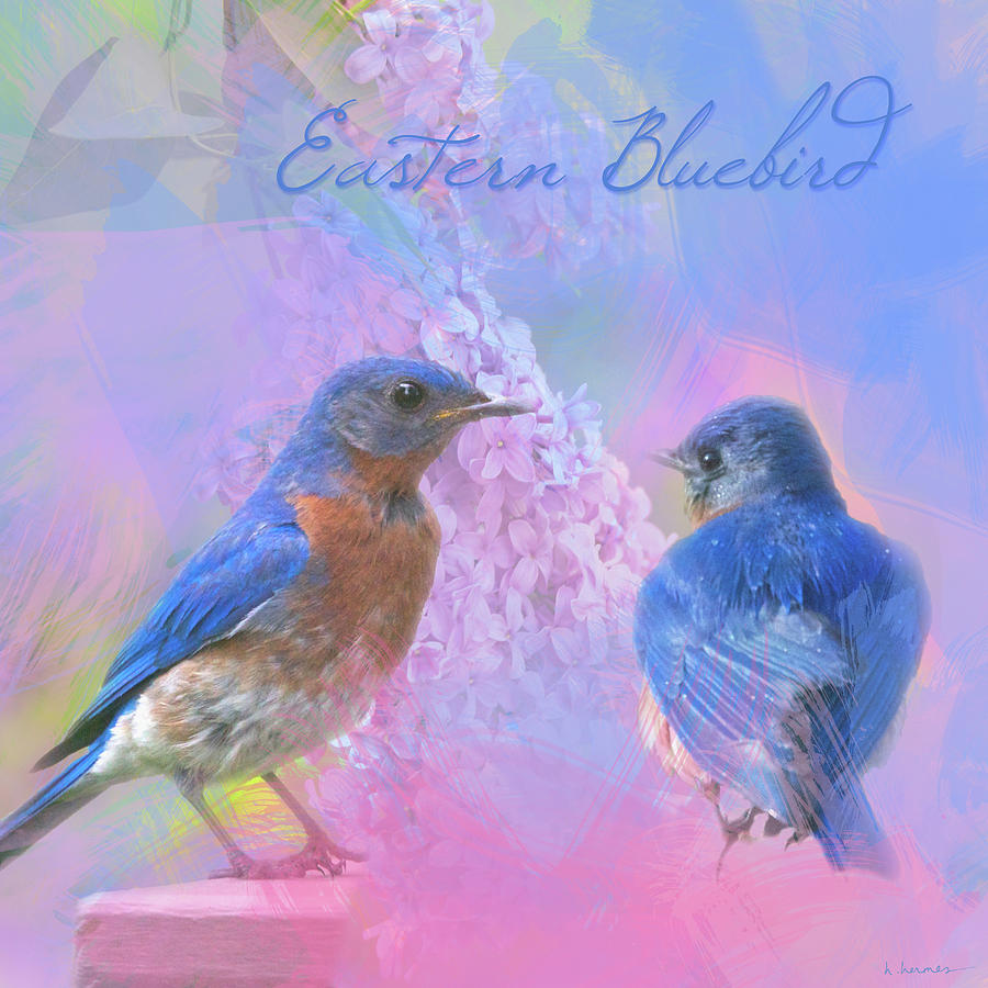 Eastern Bluebirds Watercolor Photo with Lilacs Photograph by Hermes Fine Art