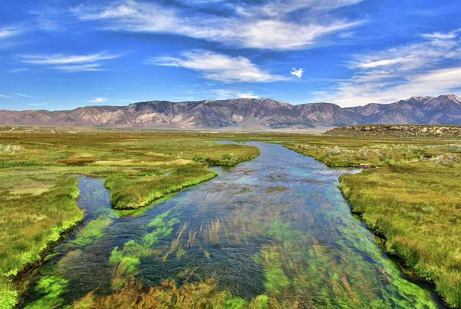 Eastern Sierra Open Range Photograph by David Toussaint
