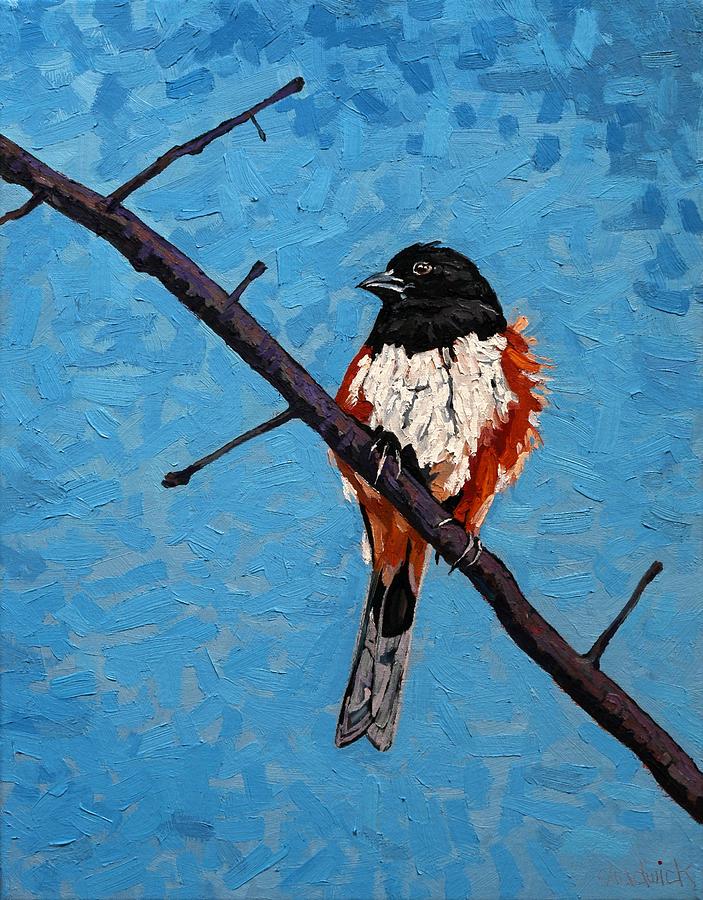 Eastern Towhee Painting by Phil Chadwick