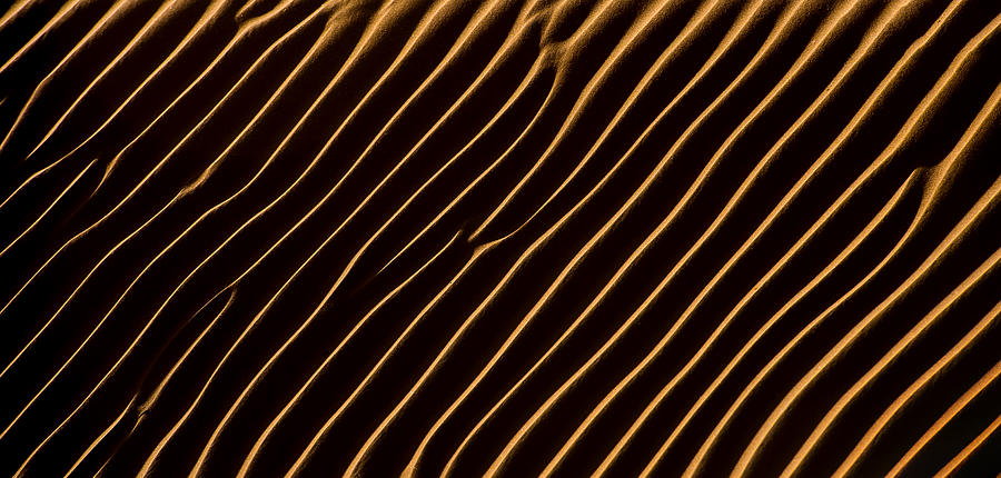Abstract Photograph - Eastern Veins by Abdulqader Alani