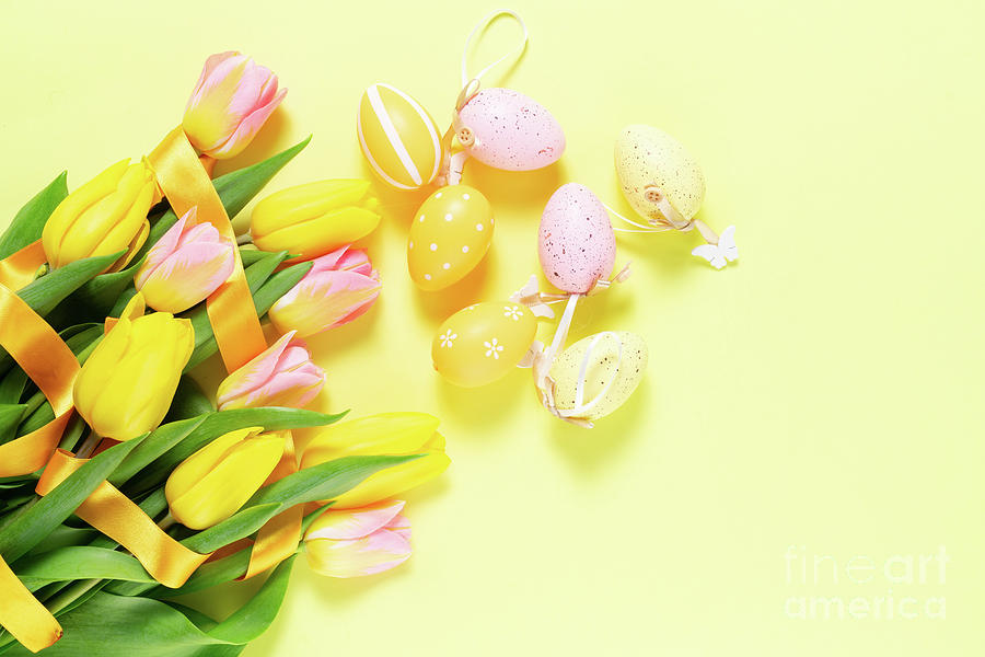 Easter Eggs Photograph by Anastasy Yarmolovich