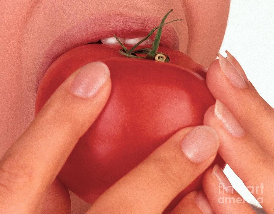 Eating Tomato Photograph by Oscar Burriel/science Photo Library