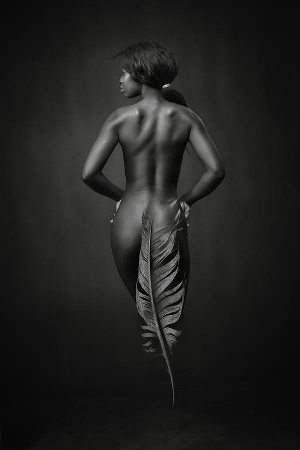 Ebony Feather Photograph by Ross Oscar