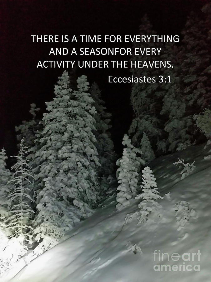 Eccesiastes 3/1 by Tony Baca Eccesiastes 3/1 by Tony Baca